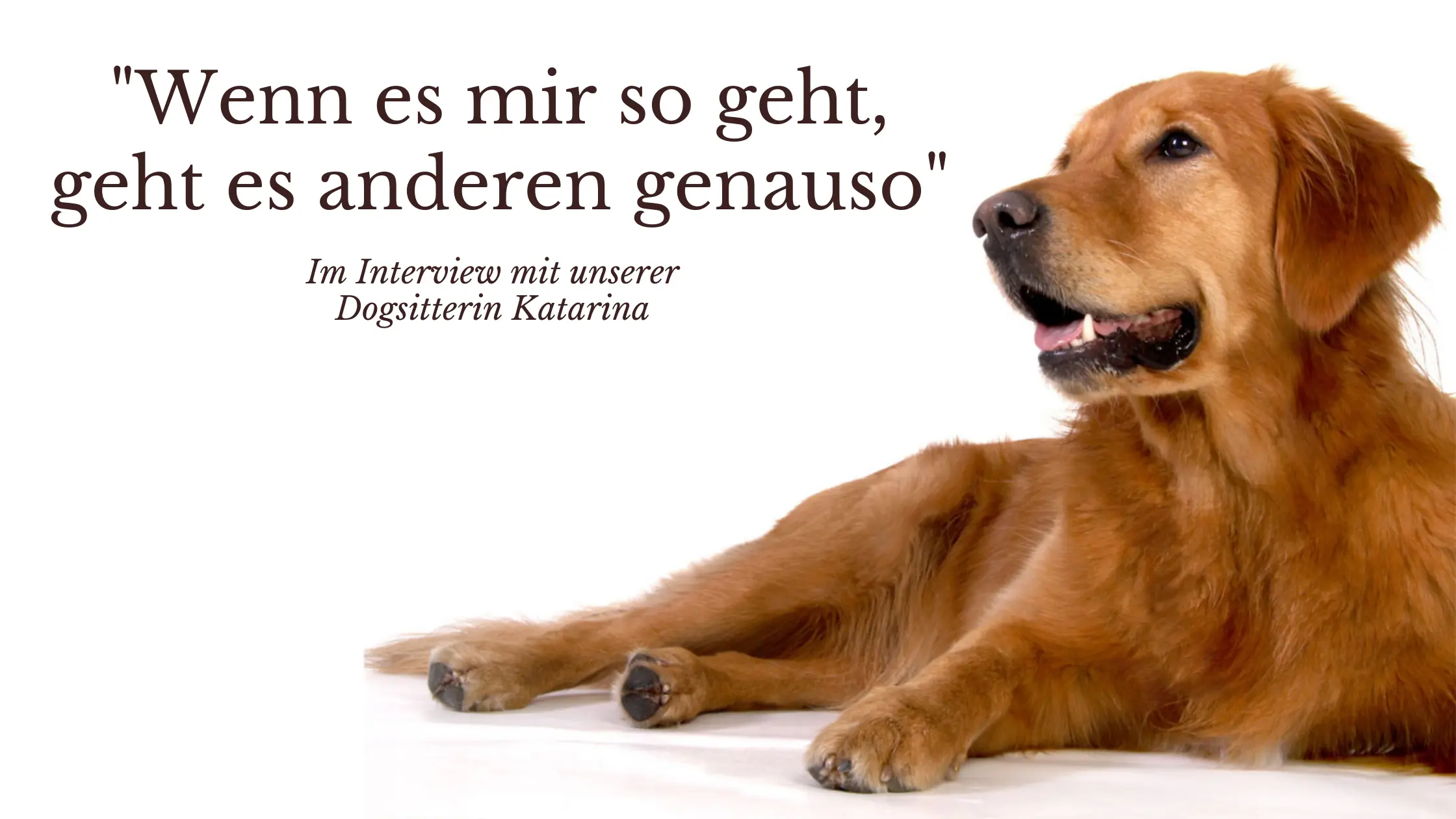 Interview mit unserem Hundesitter